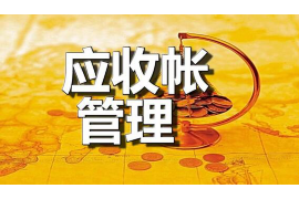 鲁山企业清欠服务